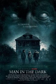 Don’t Breathe (2016) Dual Audio [Hindi-English] WEB-DL 720p – 480p