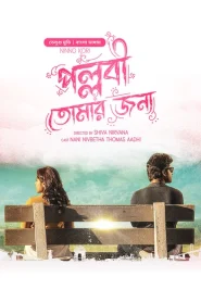 Ninnu Kori-Pallabi Tomar Jonno (2024) Bengali Dubbed ORG BongoBD WEB-DL 1080p – 720p – 480p