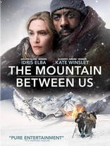 The Mountain Between Us (2017) Dual Audio [Hindi-English] WEB-Rip – 720p