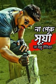 Naa Peru Surya, Naa Illu India (2018) Bengali [HQ Dubbed] WEB-DL H264 AAC 720p – 480p