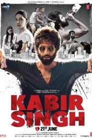 Kabir Singh (2019) Hindi HD – 1080p – 720p – 480p