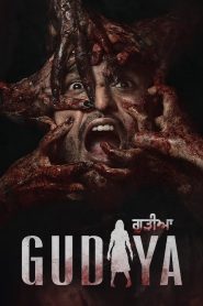 Gudiya (2023) Punjabi HD – 1080p – 720p – 480p