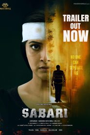 Sabari (2024) Dual Audio [Hindi-Tamil] SNXT WEB-DL 1080p – 720p – 480p