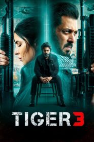 Tiger 3 (2023) Hindi WEB-DL 1080p – 720p – 480p