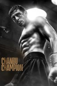 Chandu Champion (2024) Hindi AMZN WEB-DL H265 AAC 1080p 720p 480p ESub