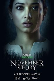 November Story (2024) Hindi Season 1 Complete WEB-DL – 1080P – 720P – 480P