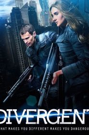 Divergent (2014) Hindi Dubbed WEB-DL – 1080P – 720p – 480p