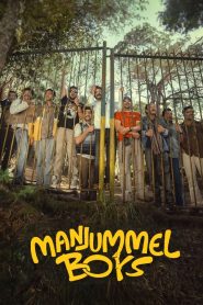 Manjummel Boys (2024) WEB-DL Hindi Dubbed – 1080P -720p -480p