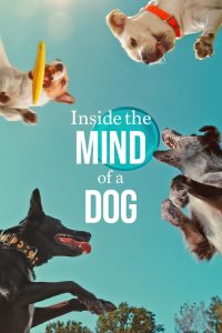 Inside the Mind of a Dog (2024) Hindi Dubbed Netflix WEB-DL- 1080P – 720p – 480p