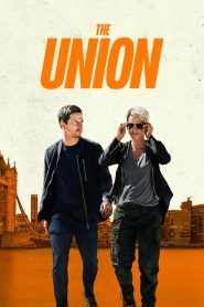 The Union (2024) Hindi Dubbed Netflix WEB-DL – 1080p – 720P – 480p