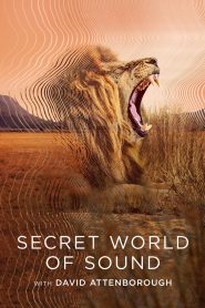 Secret World of Sound with David Attenborough (2024) Hindi Season 1 Complete Netflix WEB-DL – 1080P-720p-480p