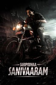 Saripodhaa Sanivaaram (2024) Dual Audio [Hindi-Telugu] NetFlix WEB-DL 1080p – 720p – 480p