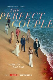 The Perfect Couple (2024) Season 01 Dual Audio[Hindi-English] Netflix Web-DL – 1080p – 720p – 480p