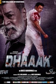 Dhaaak (2024) Hindi HDTS – 1080p – 720p – 480P