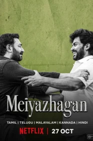 Meiyazhagan (2024) Dual Audio [Hindi-Tamil] NetFlix WEB-DL 480p.mkv