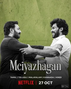 Meiyazhagan (2024) Dual Audio [Hindi-Tamil] NetFlix WEB-DL 480p.mkv