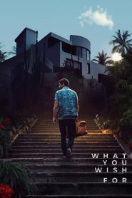 What You Wish For (2023) Dual Audio [Hindi-English] Amazon WEB-DL- 1080p – 720p – 480p