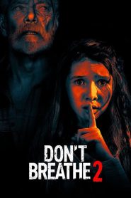 Don’t Breathe 2 (2021) Dual Audio [Hindi-English] WEB-DL – 720p – 480p