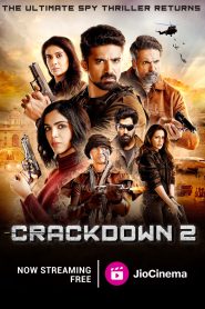 Crackdown (2020) Season 02 E01-08 Hindi WEB-DL 720p – 480p