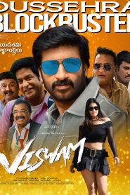 Viswam (2024) Telugu WEB-DL 1080p – 720p – 480p