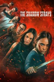 The Shadow Strays (2024) Dual Audio [Hindi-English] Netflix WEB-DL 1080p – 720p – 480p