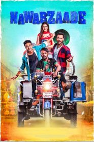 Nawabzaade (2018) Hindi HD 1080p – 720p – 480P