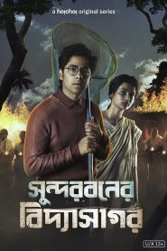 Sundarbaner Vidyasagar (2022) S01 Bengali AMZN WEB-DL 1080p – 720p – 480p