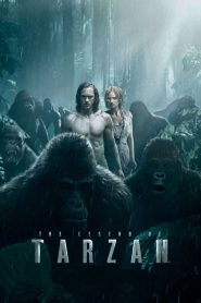 The Legend of Tarzan (2016) Hindi Dubbed WEB-DL 1080p – 720p – 480p