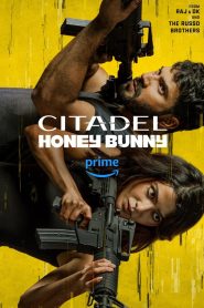 Citadel Honey Bunny (2024) Season 01 Hindi AMZN WEB-DL 1080p – 720p – 480p